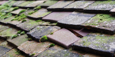 Hamstead Marshall roof repair costs